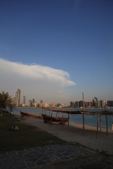 shore side with grass