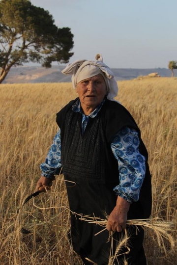 Woman and Wheat spikes