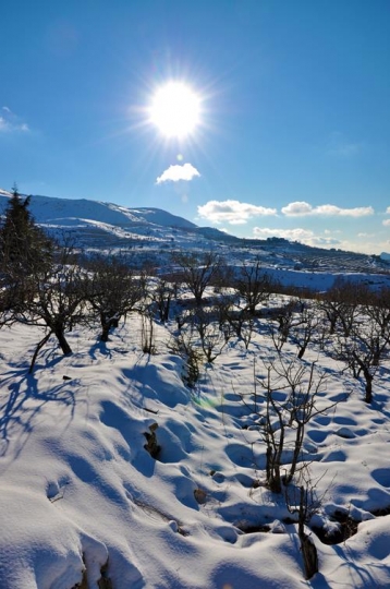 Snow in Lebanon