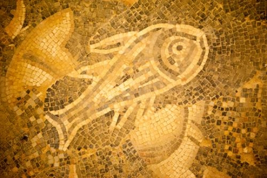 umm al rasas(kastrom mefaa)Jordan