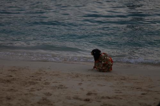 kid playing with sand on the beach