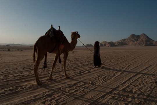 bedouin man with camel in wadi rum desert,jordan