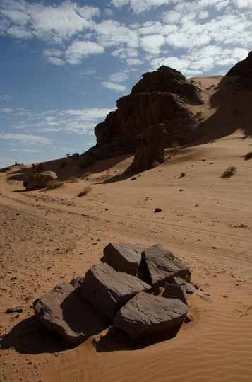 the wadi rum is the largest wa