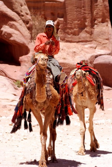 Bedouin on camel in Petra, Jordan