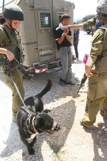 israeli soldier arresting palestinian youth