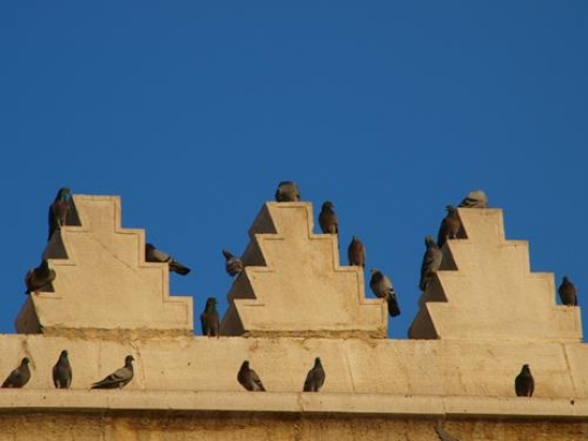 building top architecture design