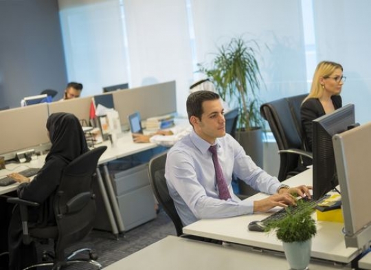 Employees sitting at their cubicle working|