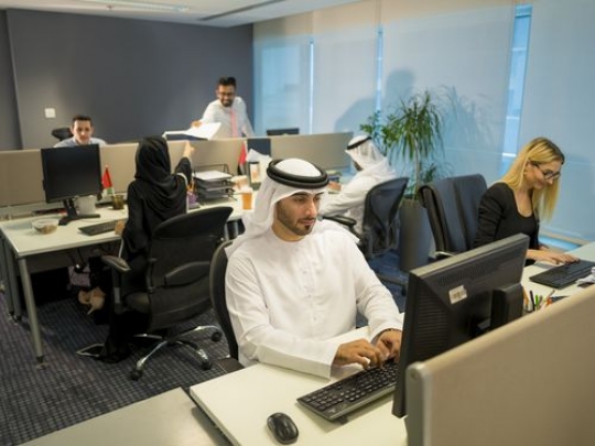 Business people at the office sitting by their desks working|