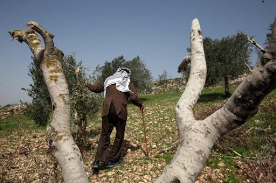 lonely senior man with stick w