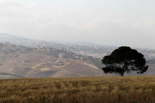 Landscapey