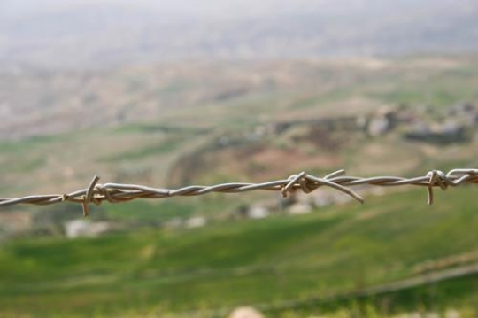 fence