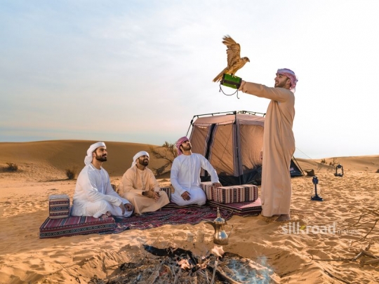 Man showing falcon to friends