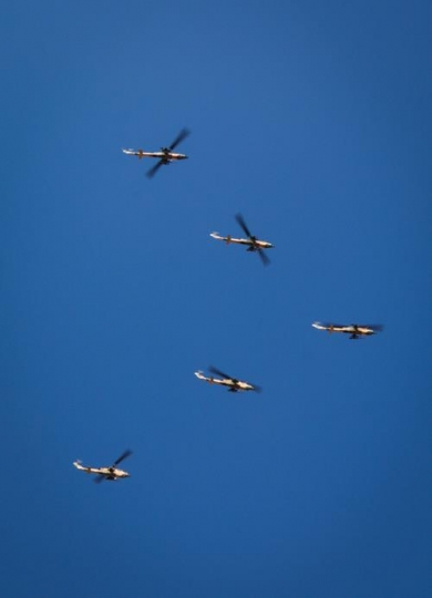 helicopters flying together