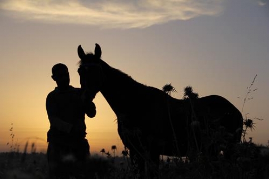 man with his horse at sunset i