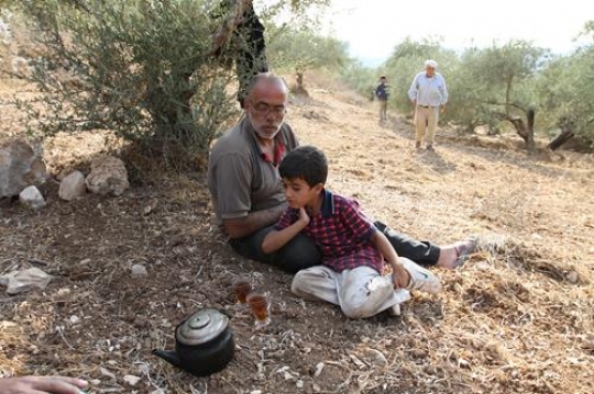 Tea Break - Palestine