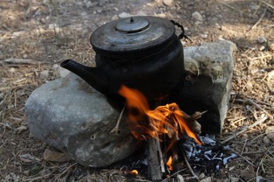 traditional culture