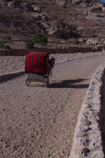 Horse Carriage in Petra