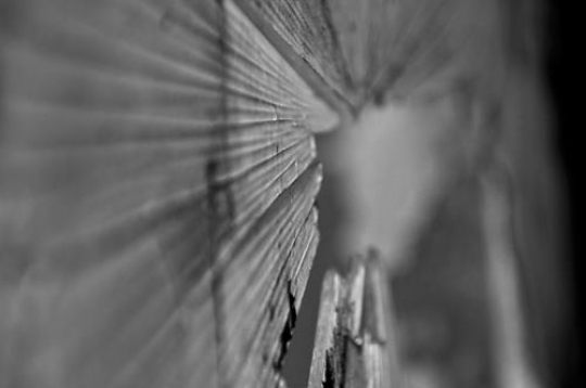 Broken window