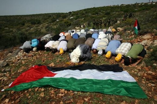 Prostrationy