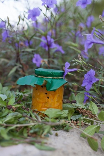 natural fruit jar