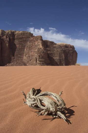 Wadi Rum desert landscape,Jord