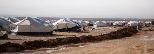 camps tents 