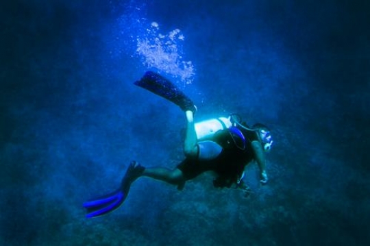 scuba driver swims in aqaba,Jordan