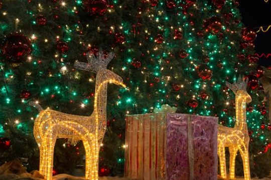 christmas tree