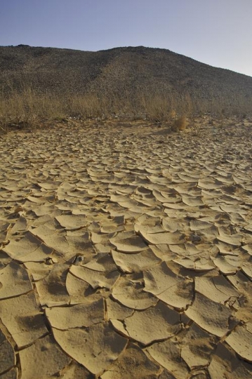 Cracked Desert