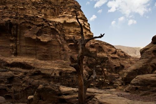 rock city petra