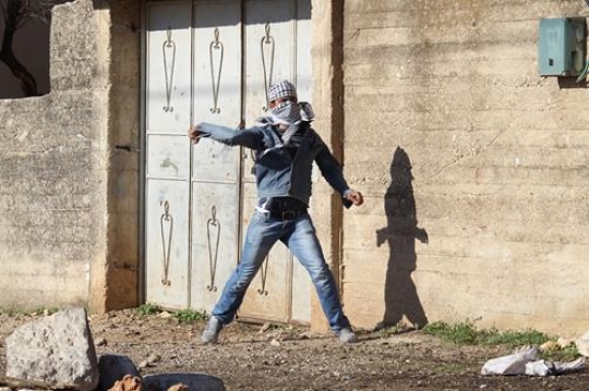 palestinian youth fighter