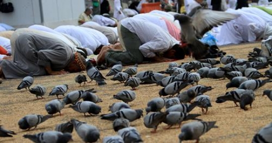 Congregational Prayer