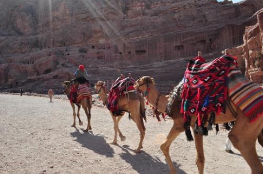 petra