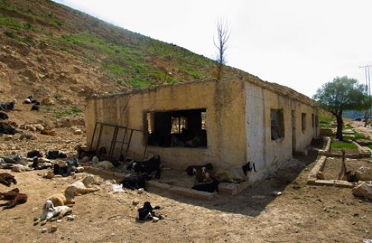 View of the town of Salt in Jordan, Sheep barn