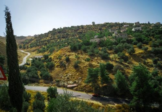 iraq al-amir,Jordan