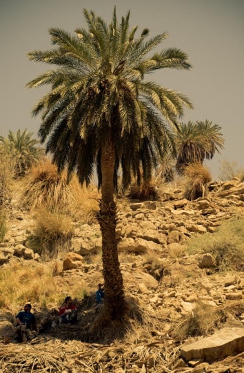 wadi himara,jordan