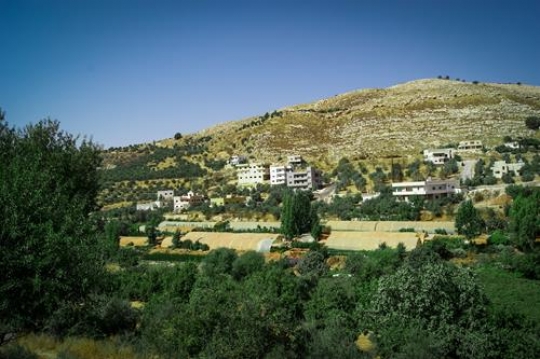 iraq al-amir,Jordan