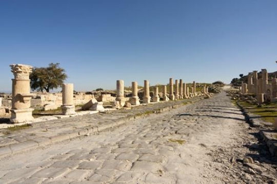 Columns Road