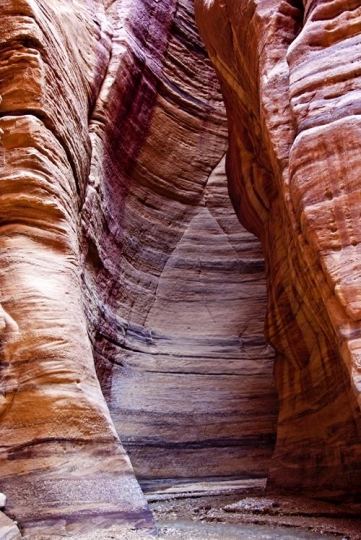 Rocks