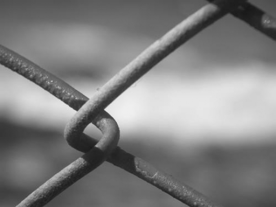 Fence 