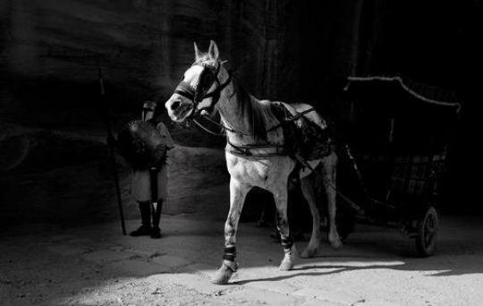 horse cart