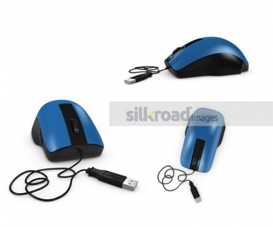 Mouse