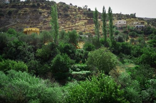 iraq al-amir,Jordan