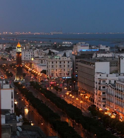 Tunis city view