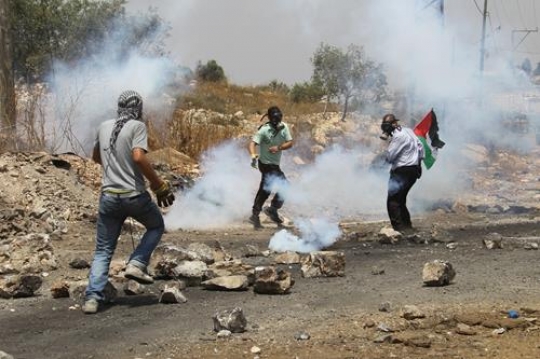 Palestinian resistence