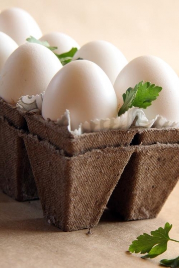 Fresh white eggs