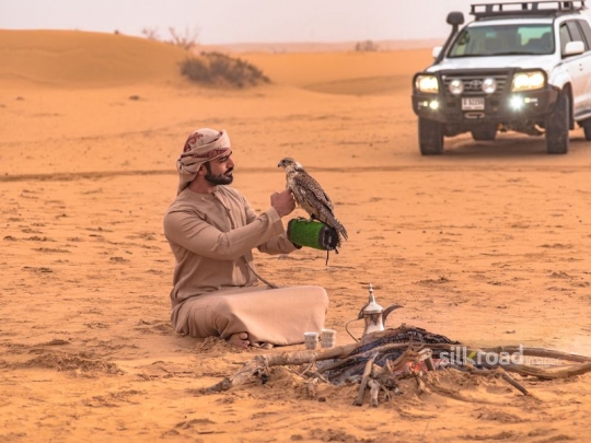 Man caressing chest of falcon