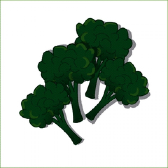 broccoli