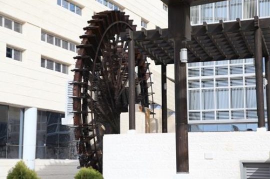 Wooden Wheel