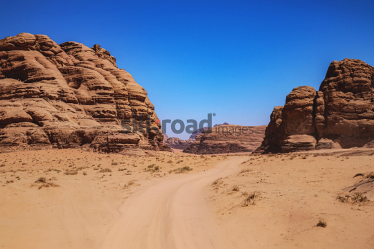 Wooden Sticks in the Wadi Rum Desert Sand